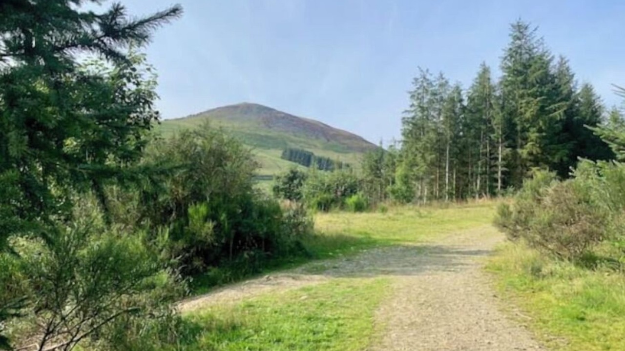 Photo of Others in Innerleithen