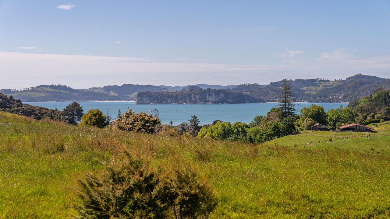 Photo of Others in Whitianga