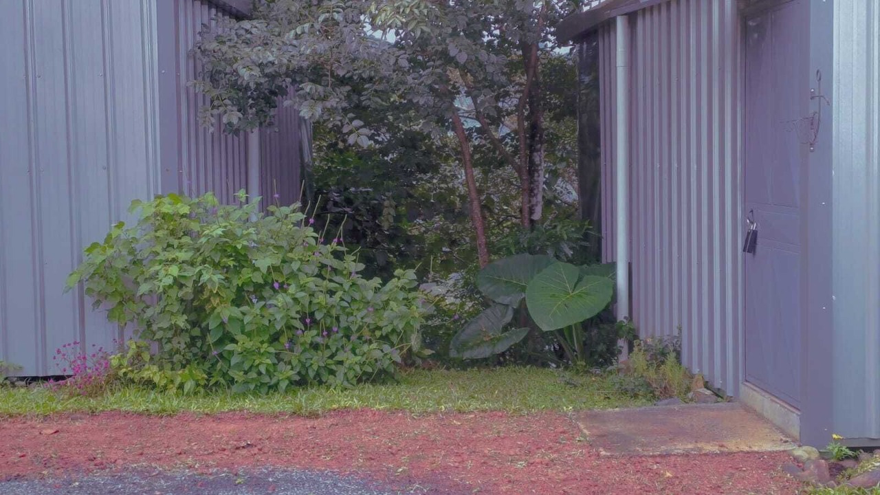 Photo of Outdoor in Sabanilla