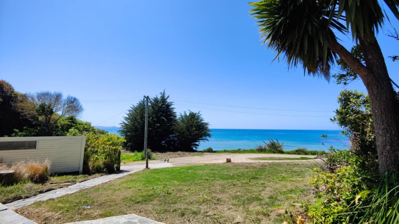 Photo of Outdoor in Shag Point