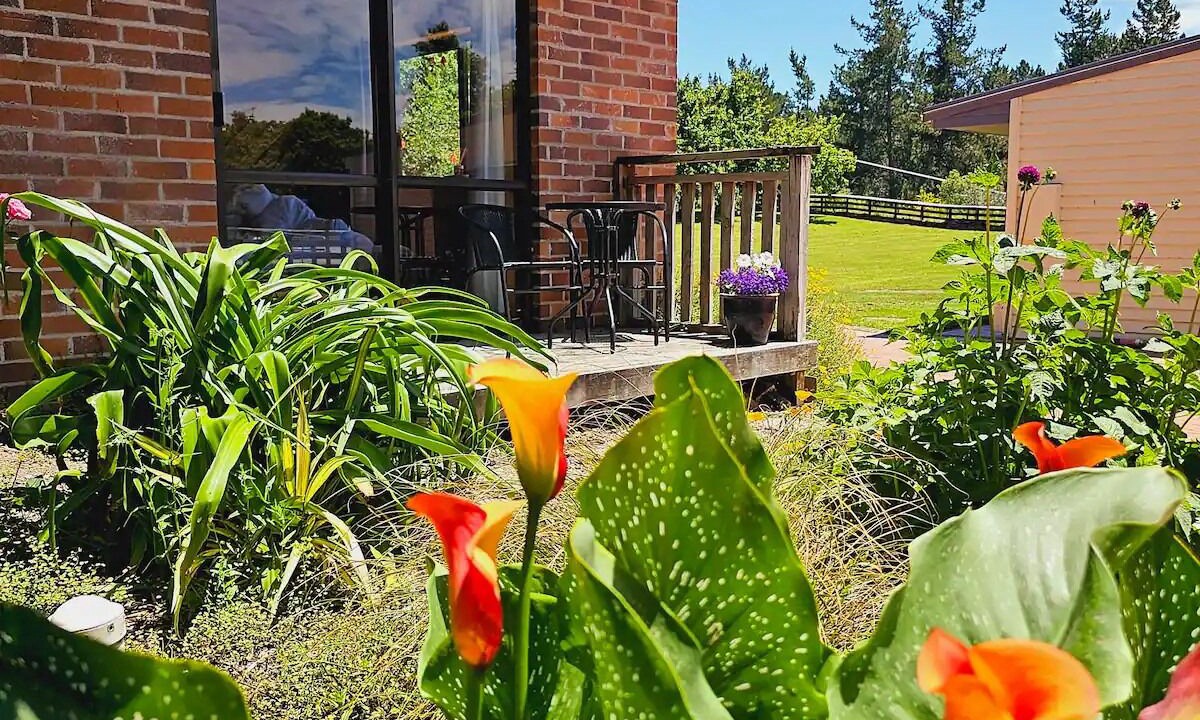 Photo of Outdoor in Rotorua District
