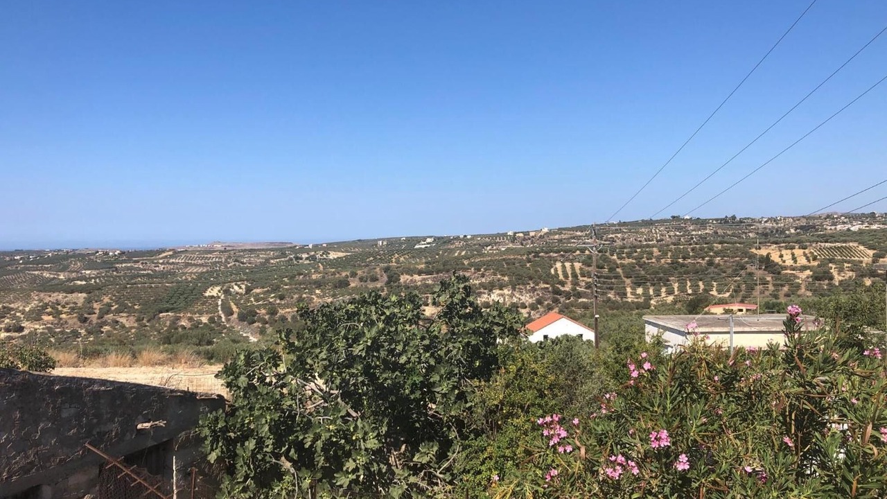 Photo of Others in Episkopi