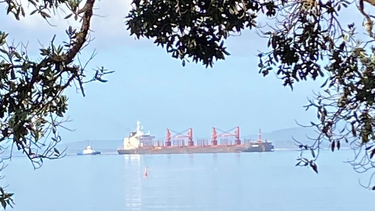 Photo of Others in Whangarei Heads