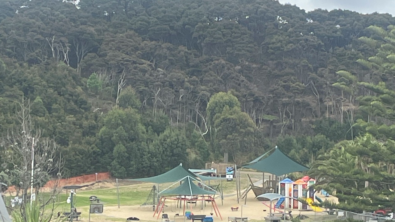 Photo of Patio Balcony in Mangawhai Heads