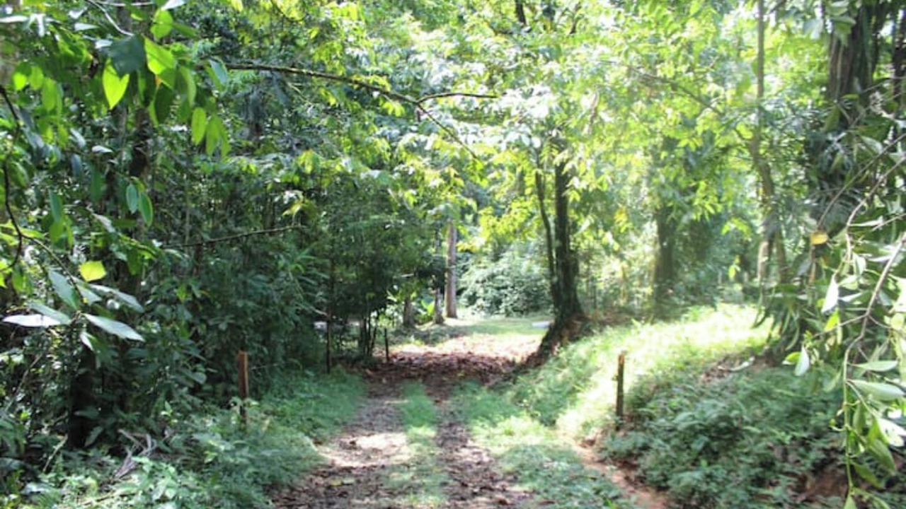 Photo of Others in Sarapiqui