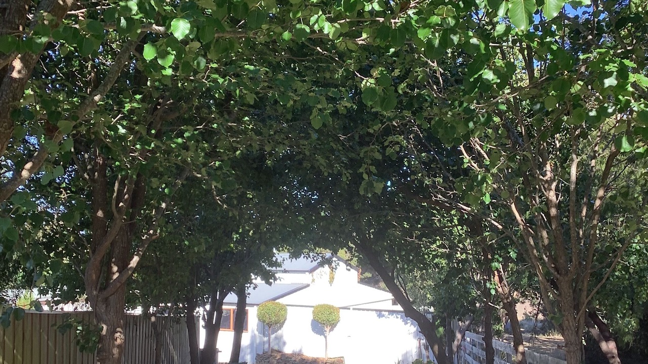 Photo of Outdoor in Clarence Point
