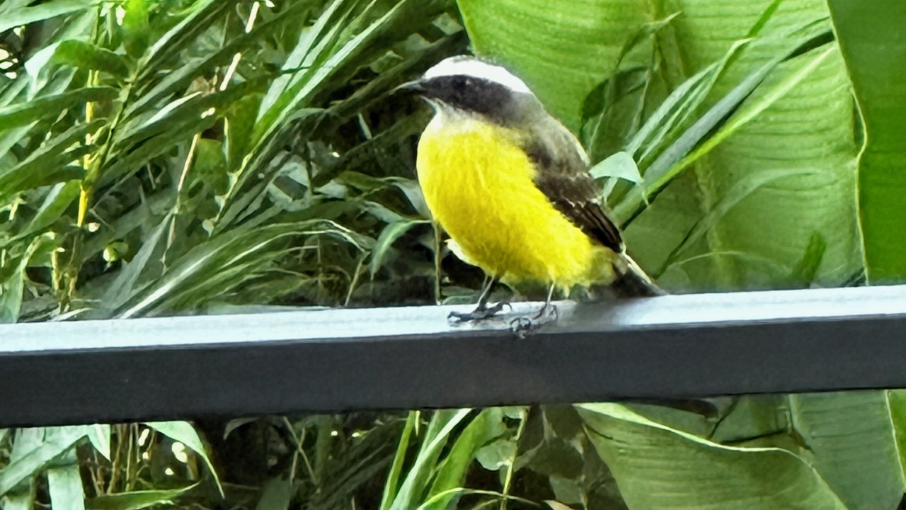 Photo of Outdoor in Monterrey