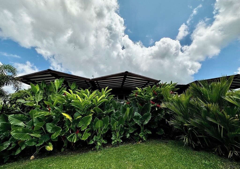Photo of Outdoor in Monterrey