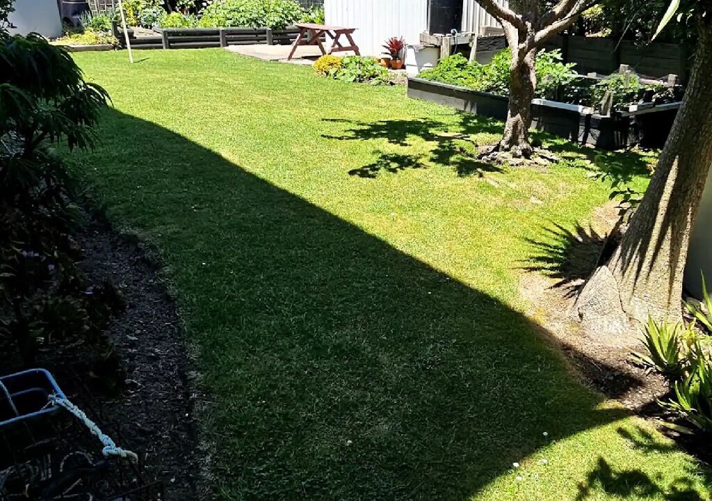 Photo of Outdoor in Waihau Bay