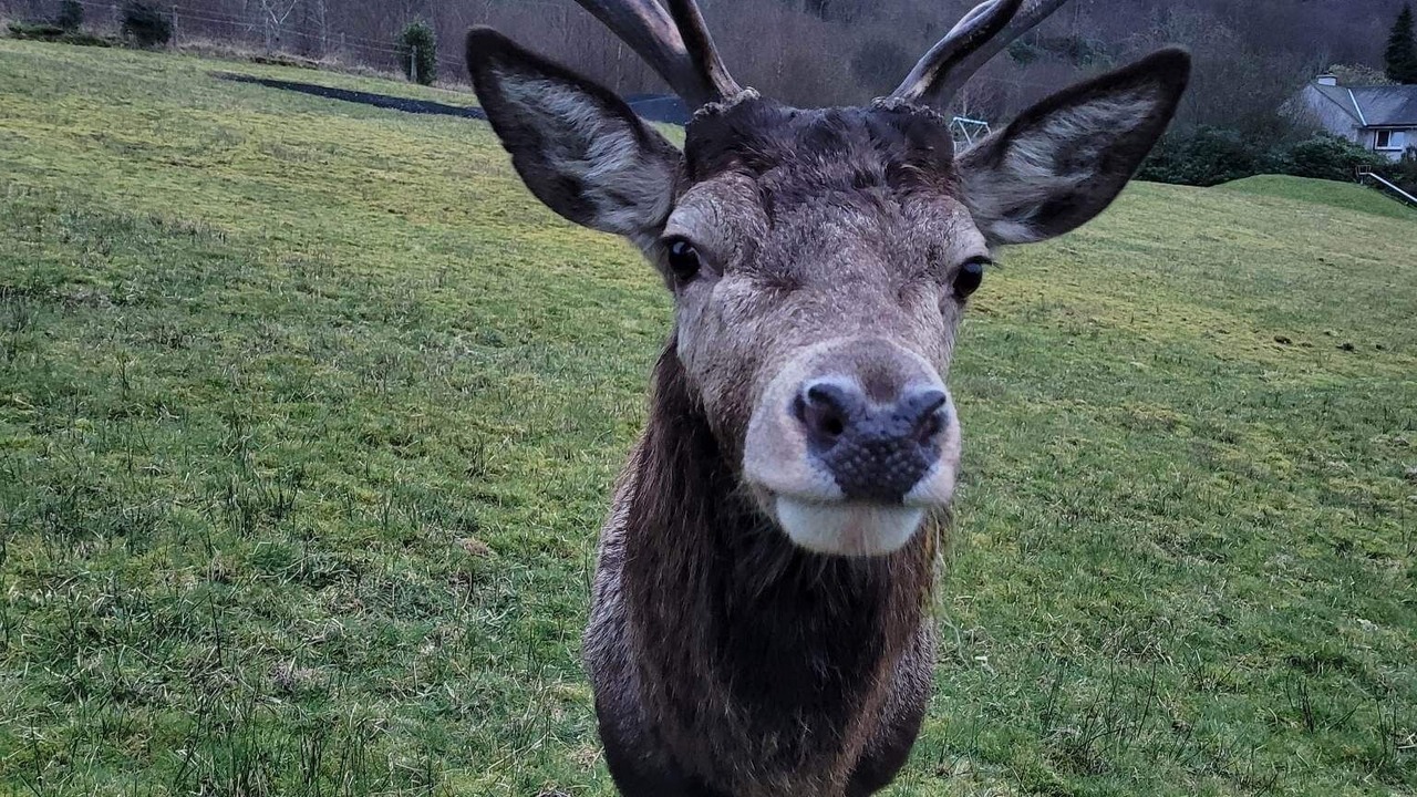 Photo of Others in Arrochar