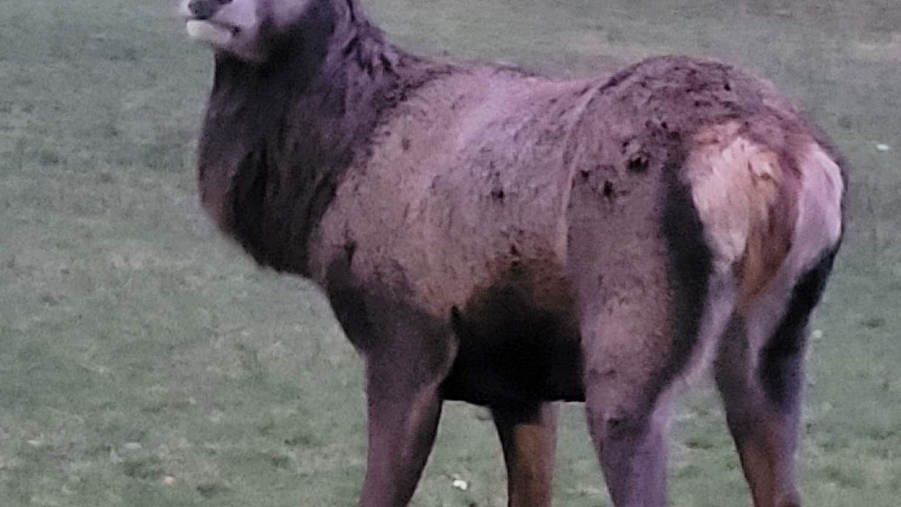 Photo of Others in Arrochar