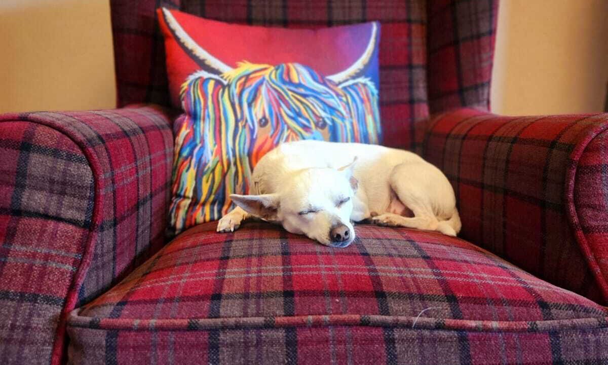Photo of Others in Arrochar