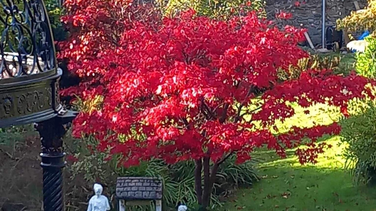 Photo of Outdoor in Arrochar