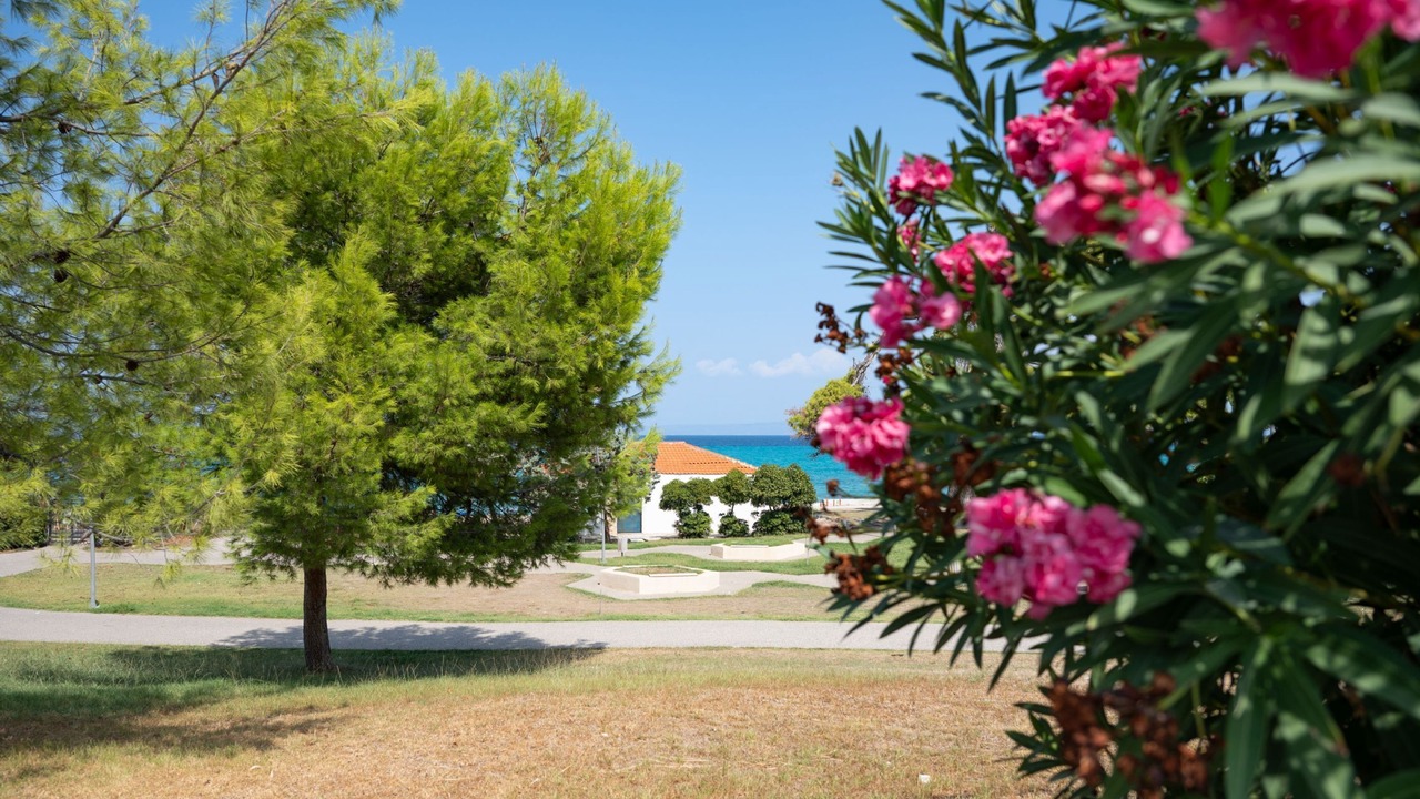 Photo of Outdoor in Haniotis