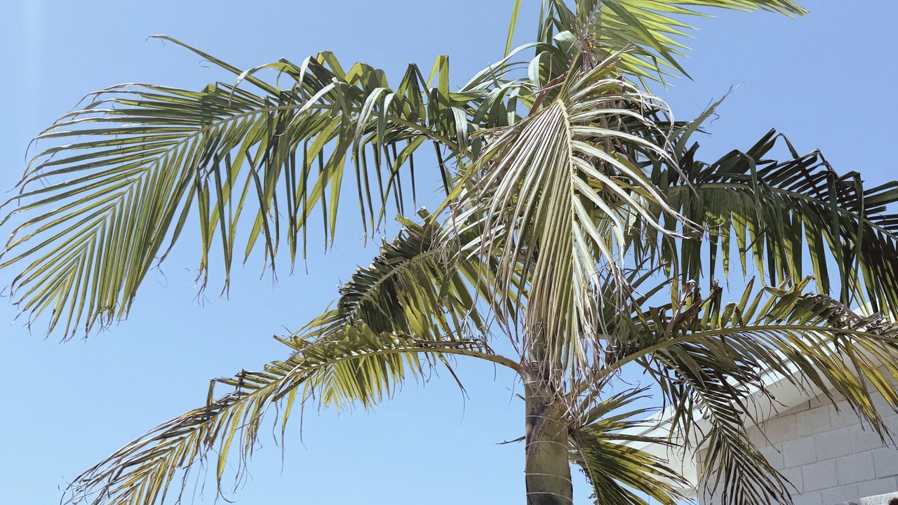 Photo of Outdoor in Papamoa Beach