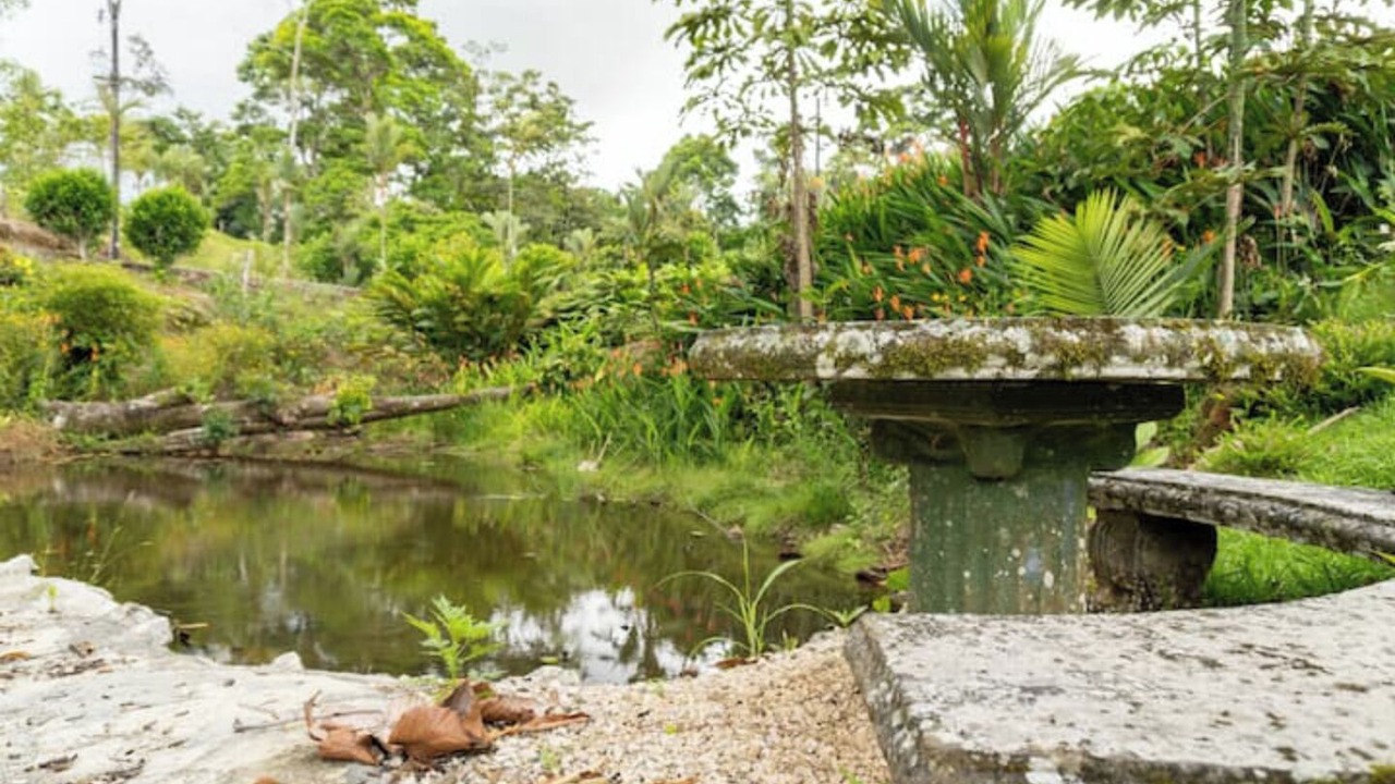Photo of Outdoor in Rio Cuarto de Grecia