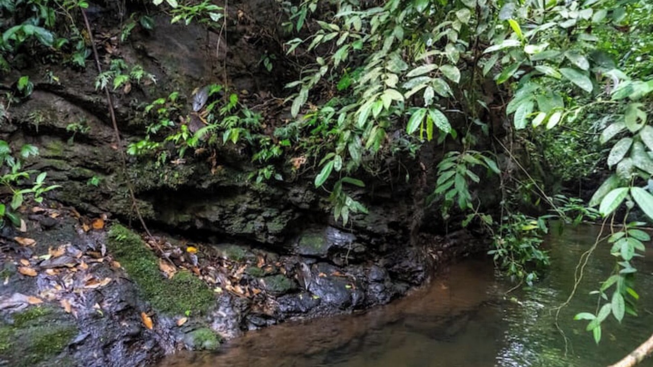 Photo of Others in Rio Cuarto de Grecia