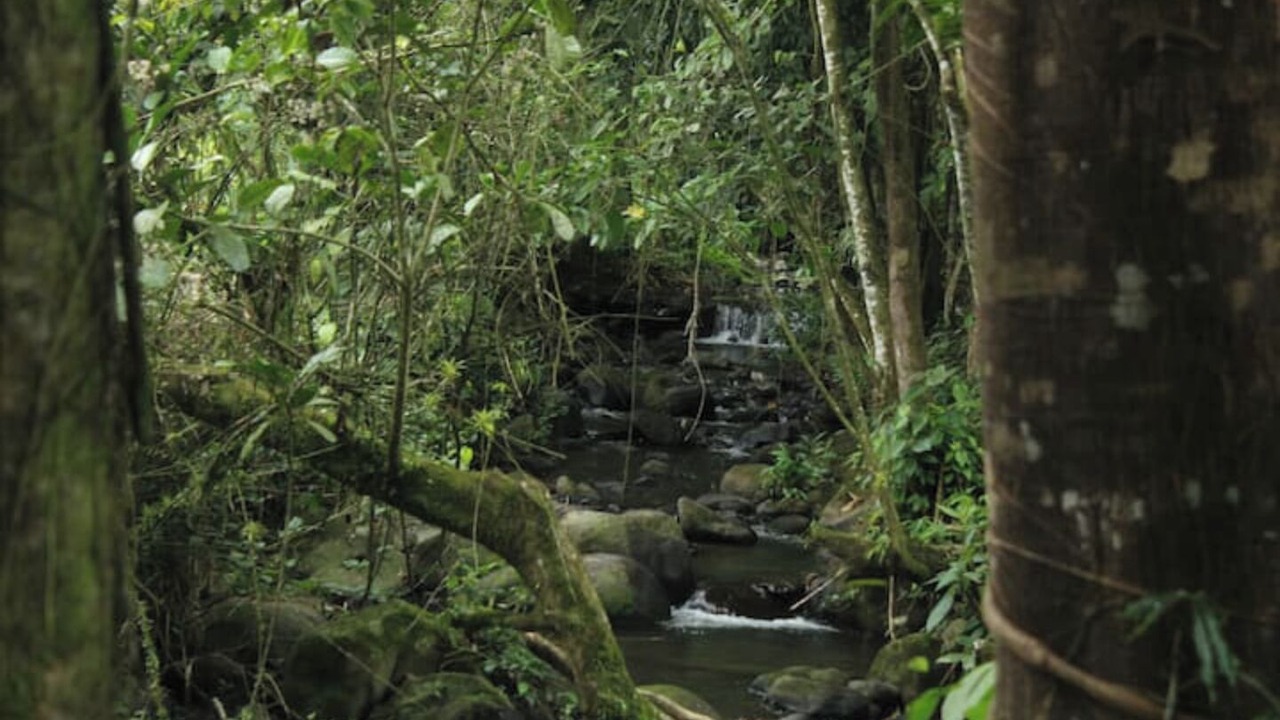 Photo of Others in Rio Cuarto de Grecia