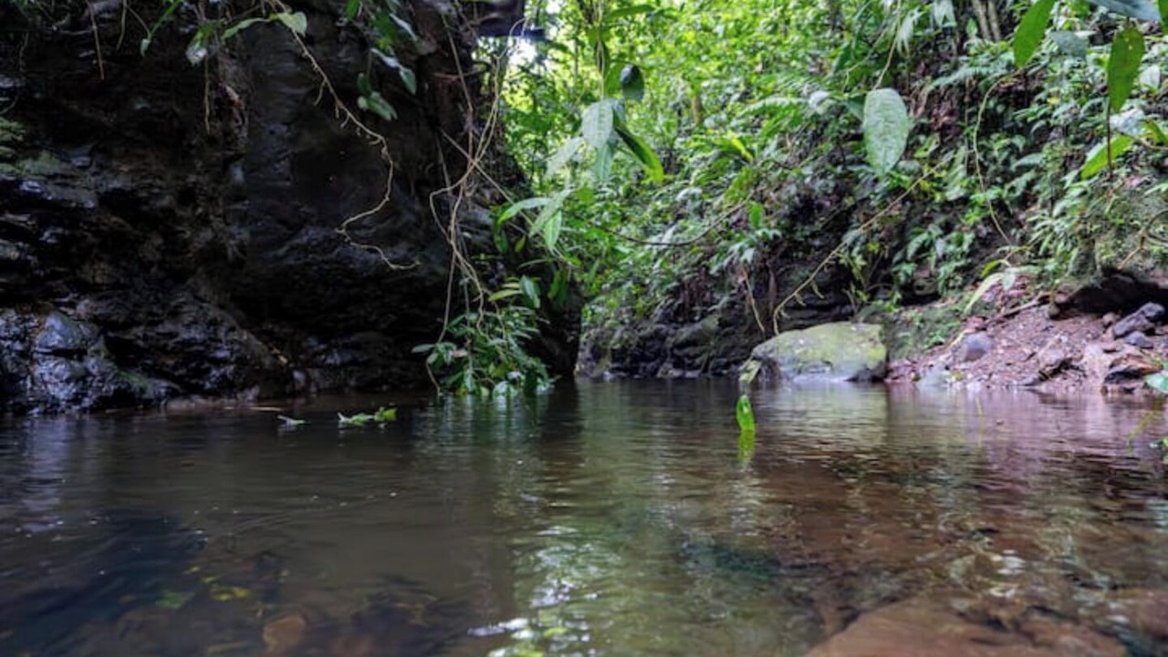 Photo of Others in Rio Cuarto de Grecia