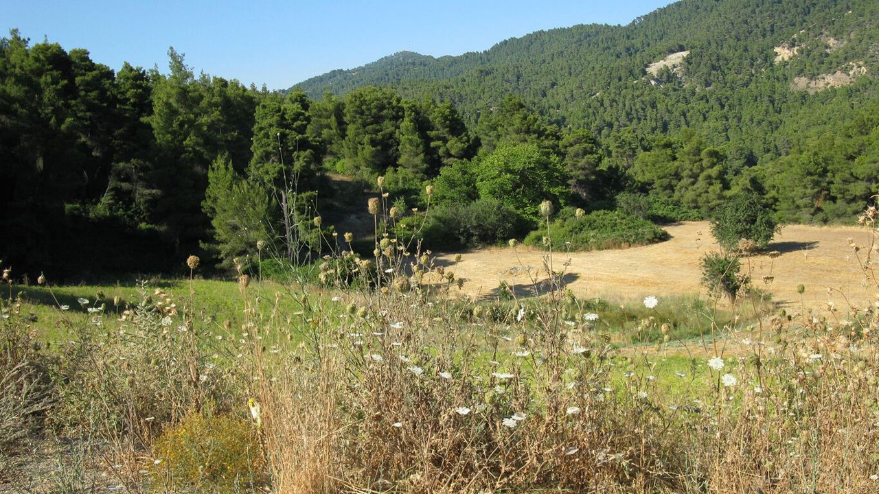 Photo of Others in Kirinthos