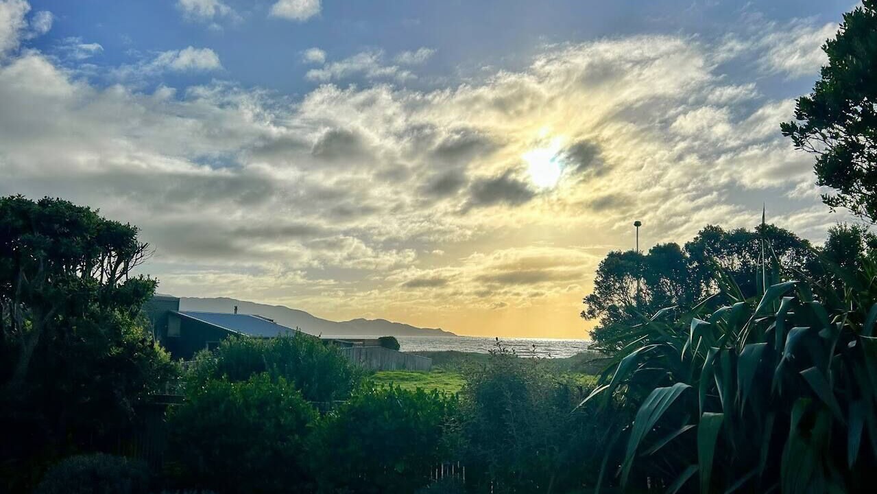 Photo of Others in Waikanae