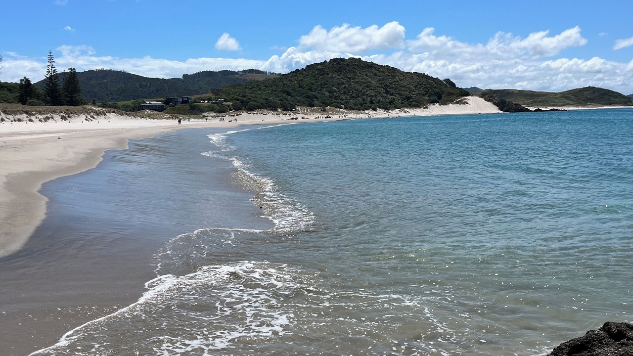 Photo of Others in Whangarei Heads
