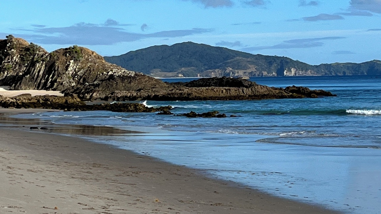 Photo of Others in Whangarei Heads