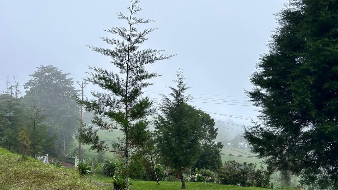 Photo of Outdoor in Vara Blanca
