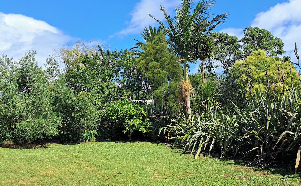 Photo of Outdoor in Oneroa