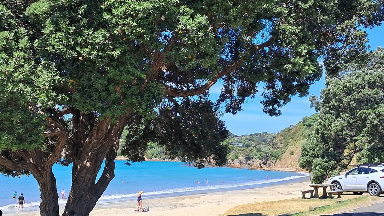 Photo of Others in Oneroa