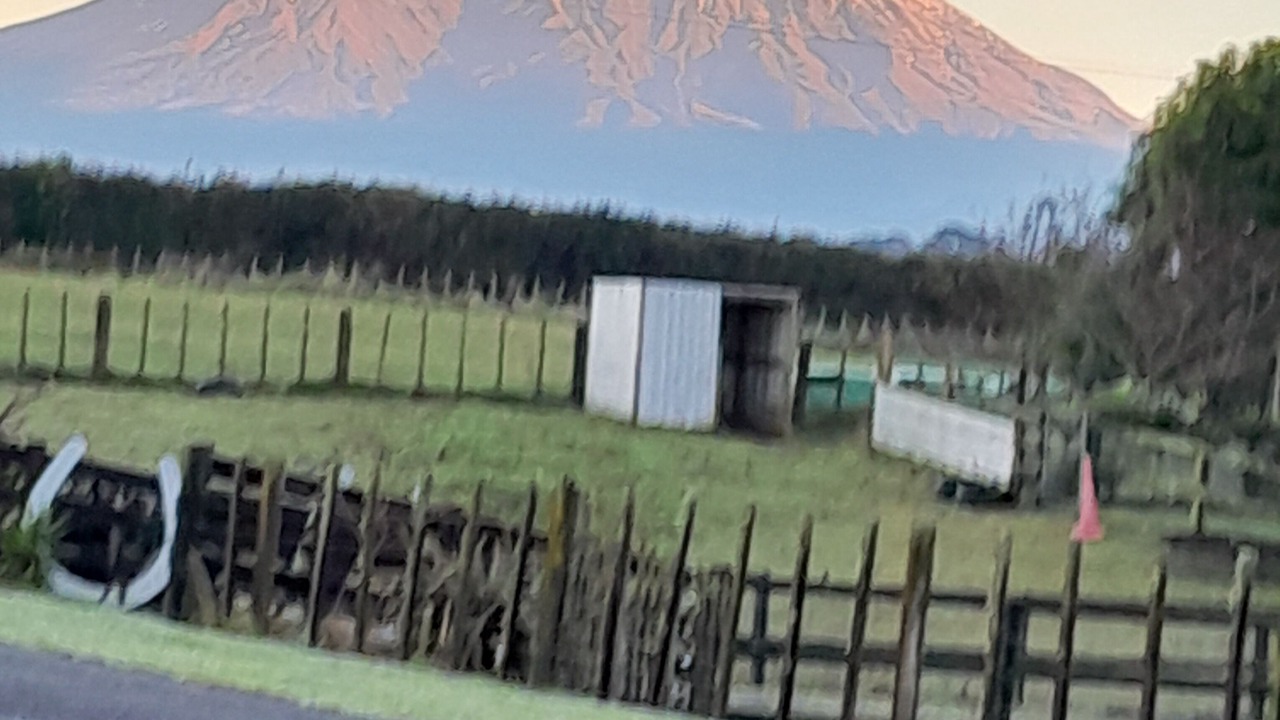 Photo of Others in Auroa