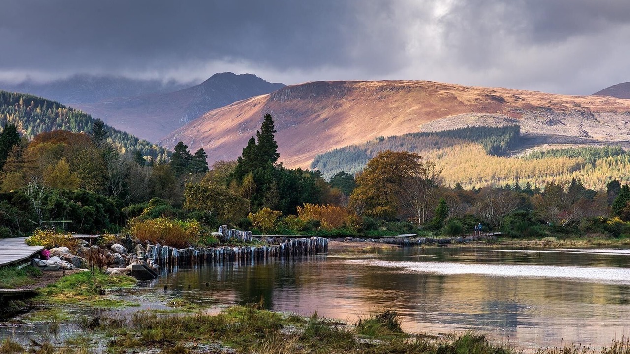 Photo of Others in Lamlash