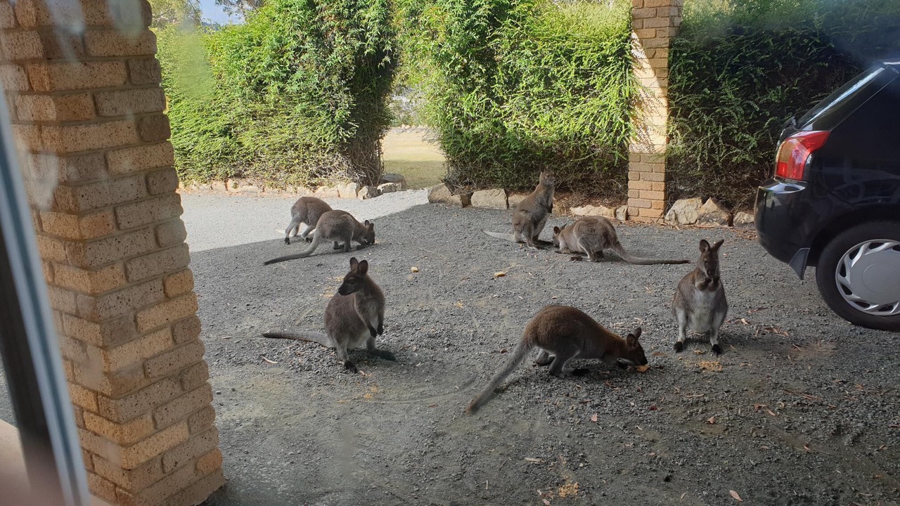 Photo of Others in Geilston Bay