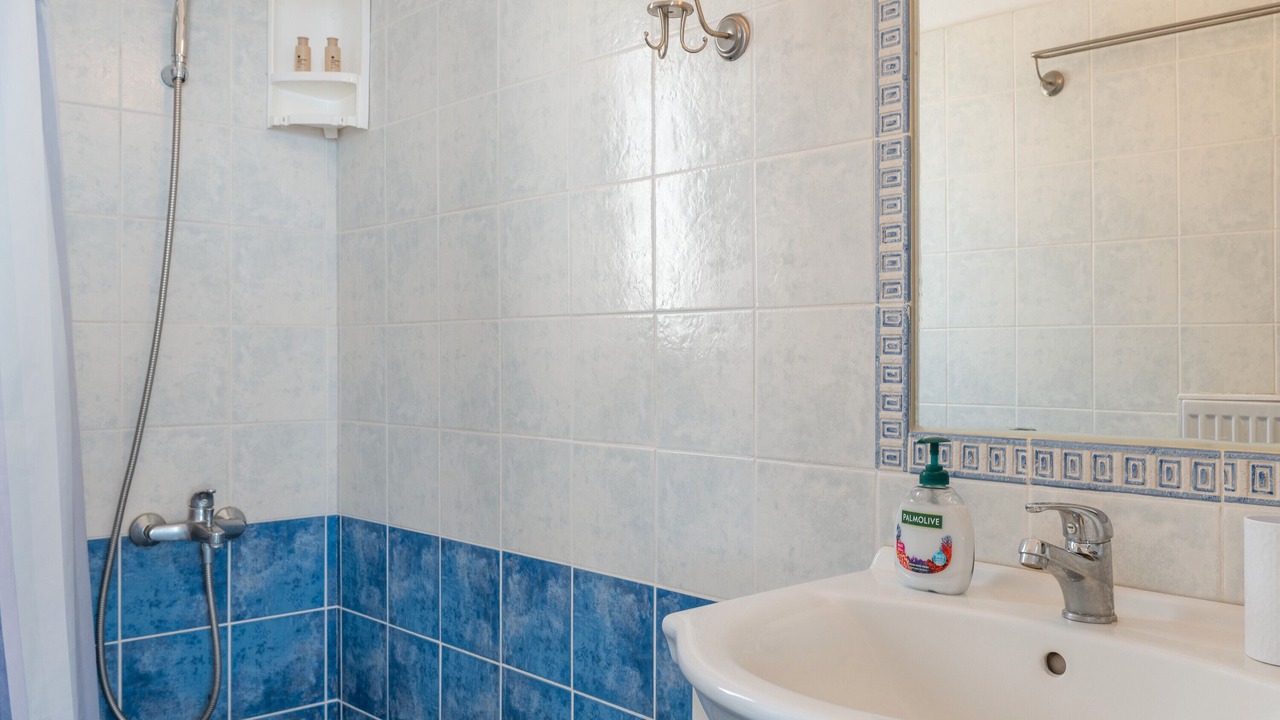 Photo of Bathroom in Andros