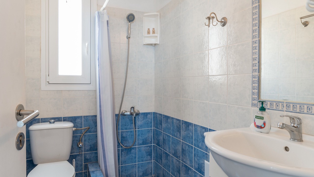 Photo of Bathroom in Andros