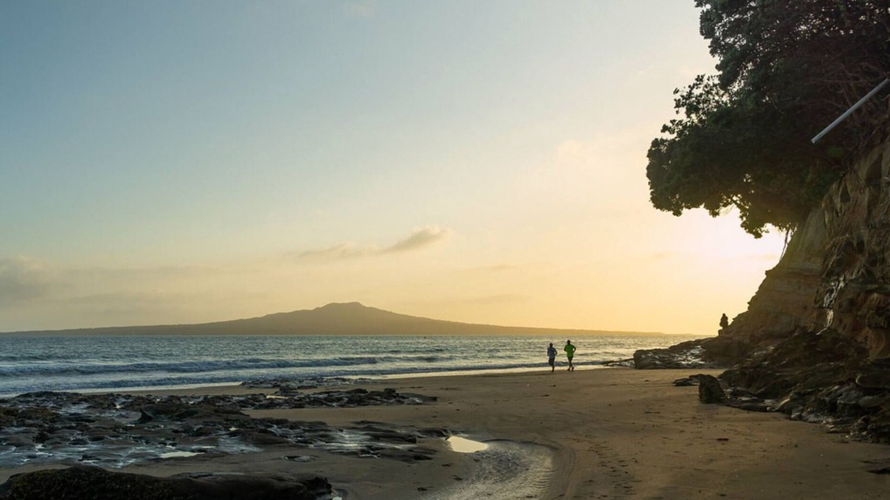 Photo of Others in Hauraki