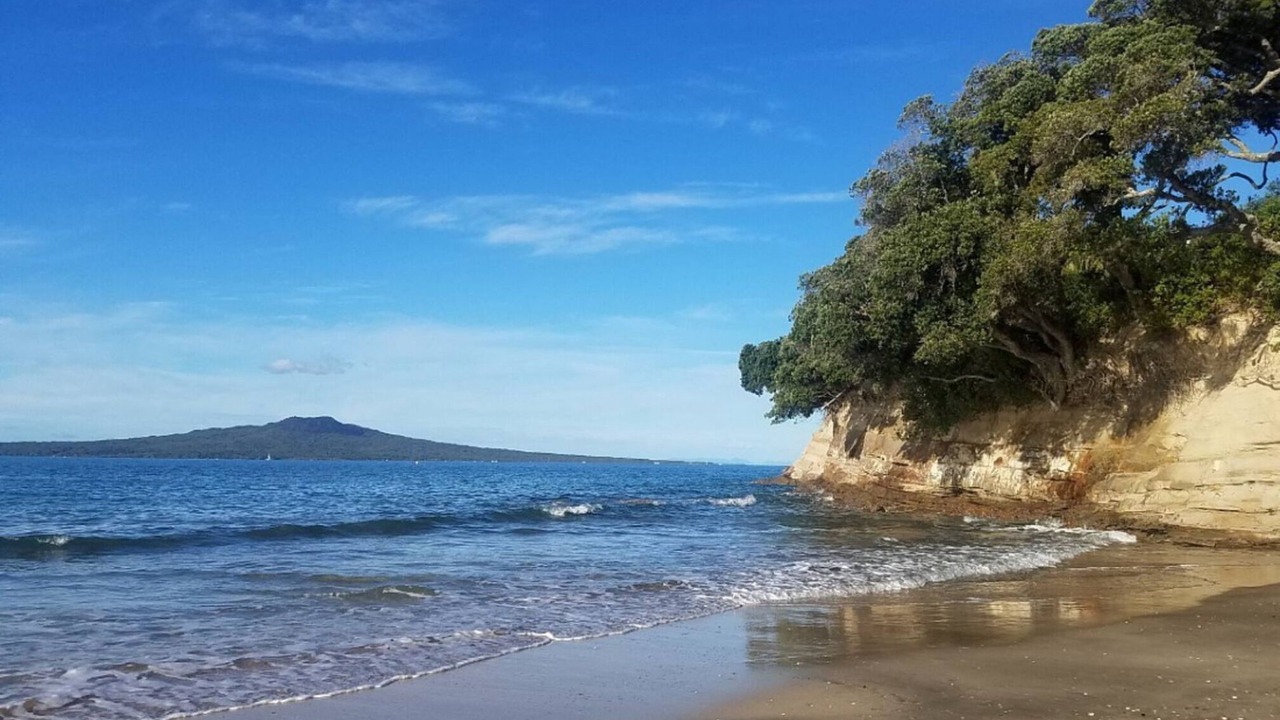 Photo of Others in Hauraki