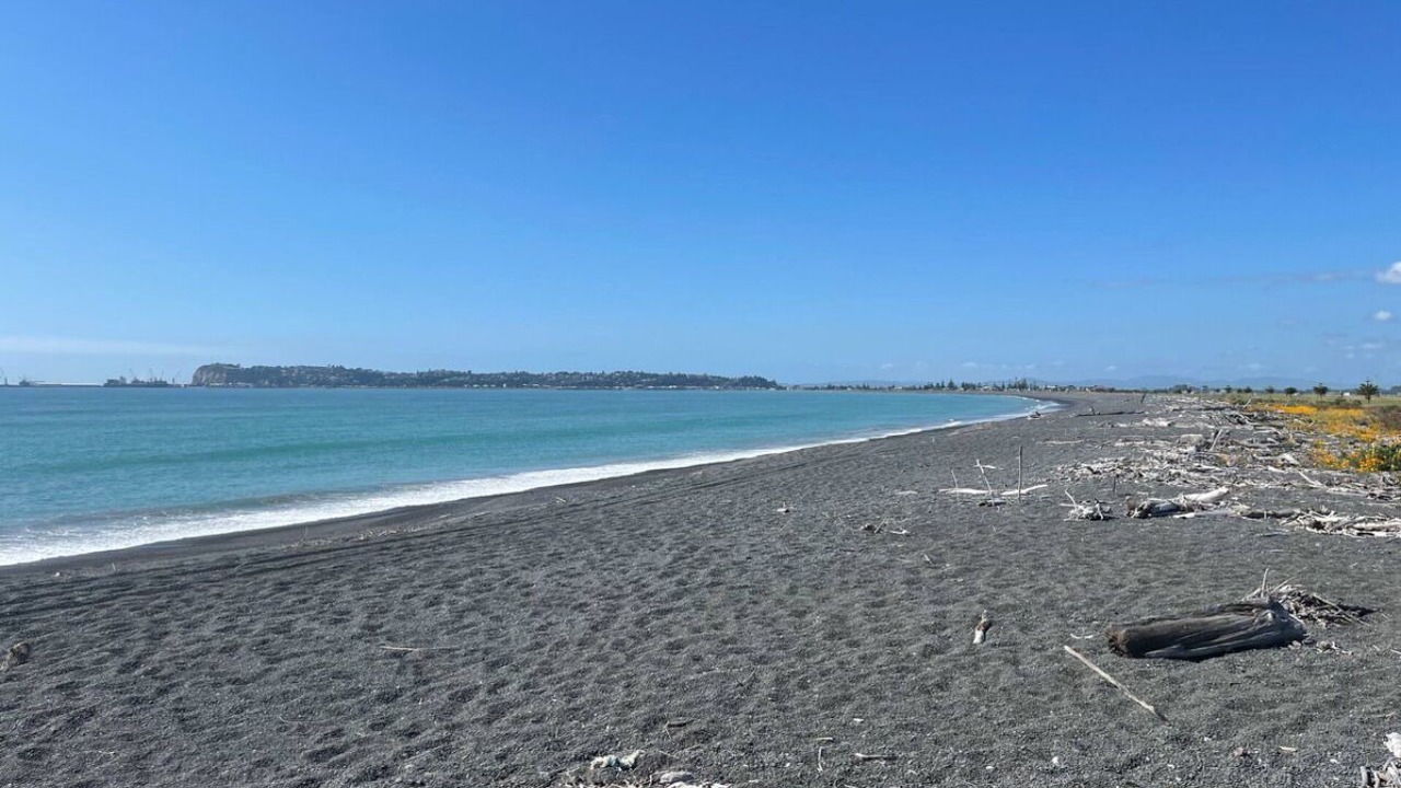 Photo of Others in Napier
