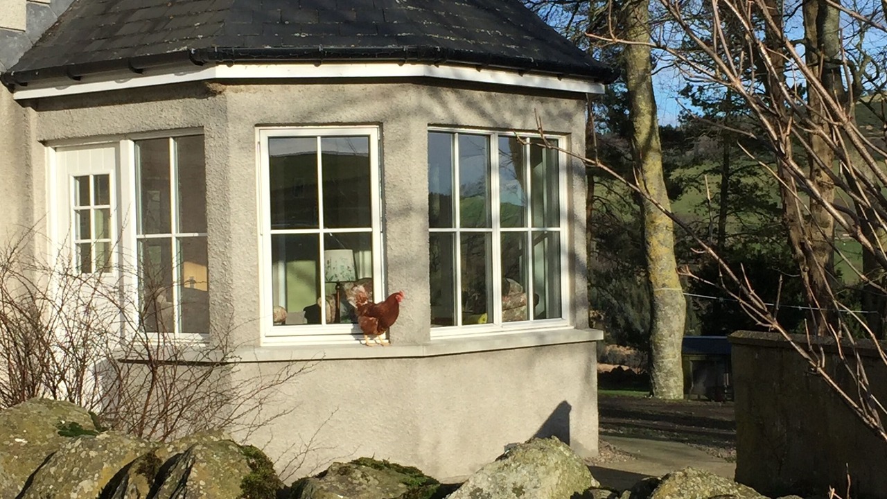 Photo of Outdoor in Huntly