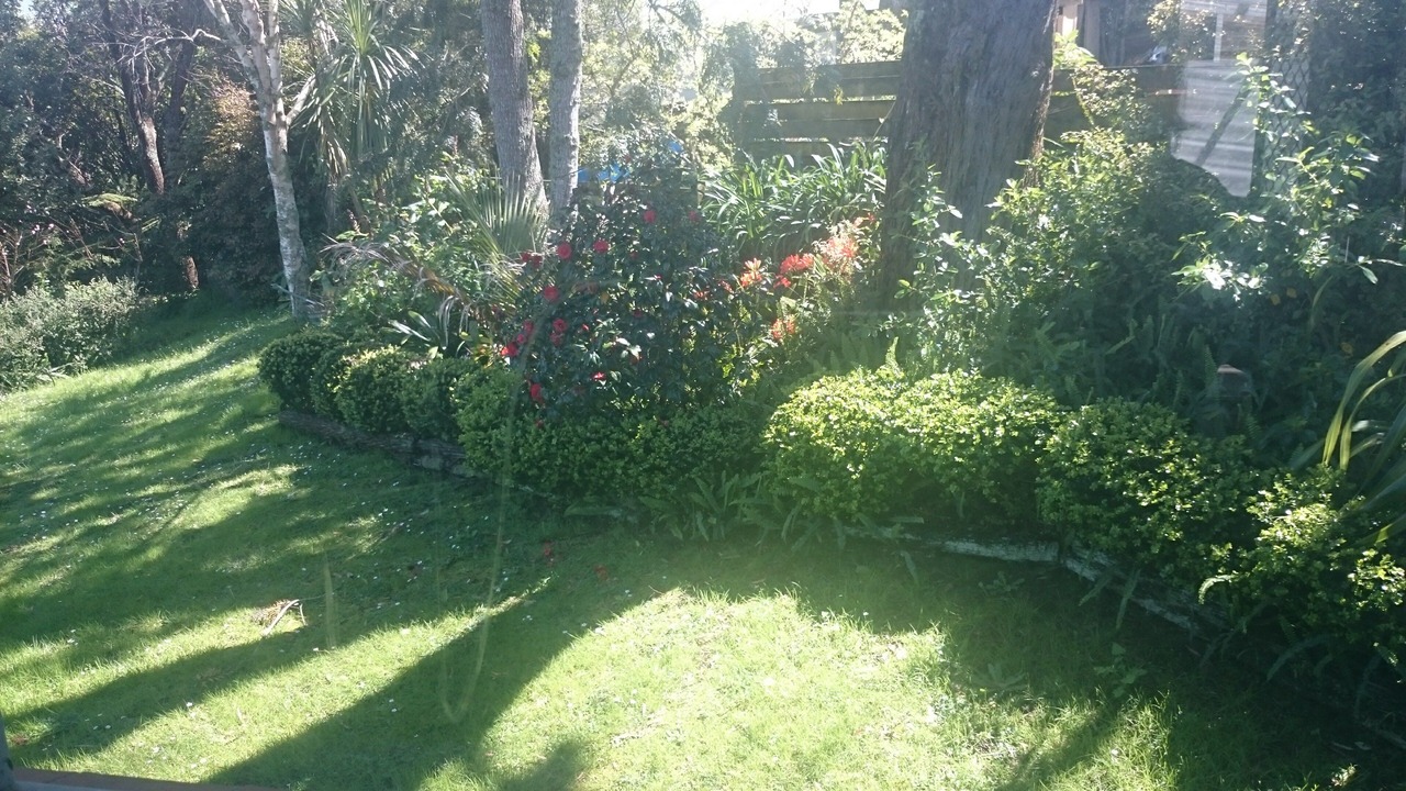 Photo of Outdoor in Torbay