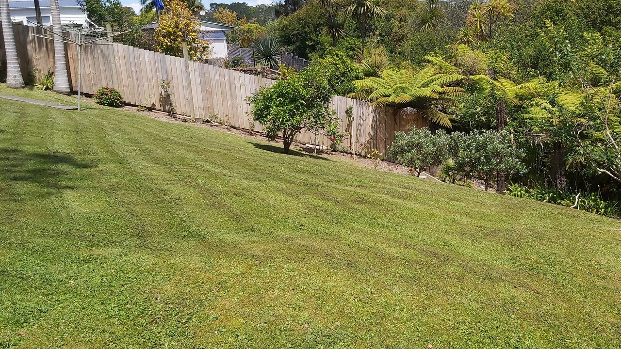 Photo of Outdoor in Torbay