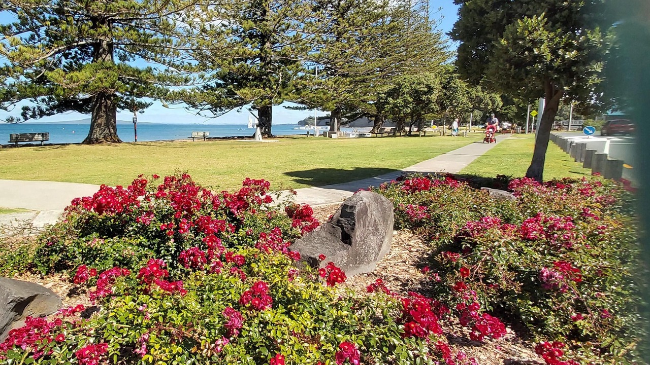 Photo of Outdoor in Torbay