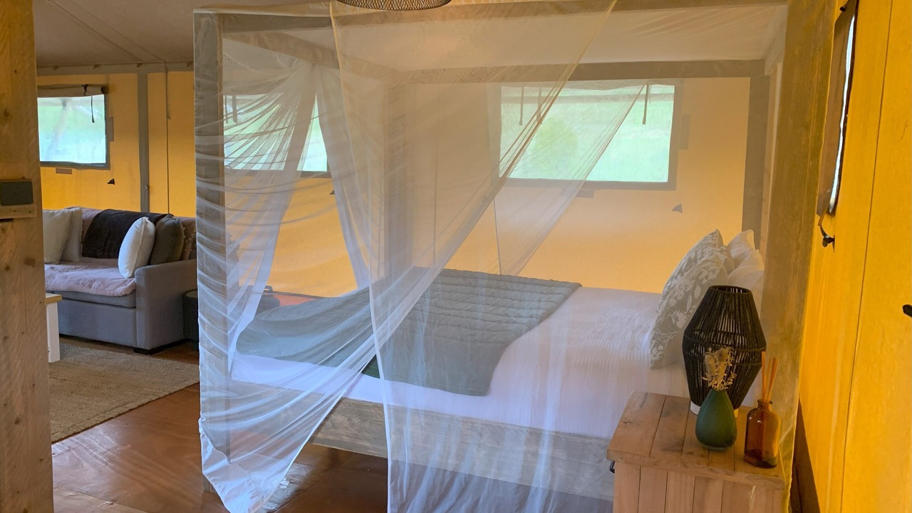 Photo of Bedroom in Waitakere