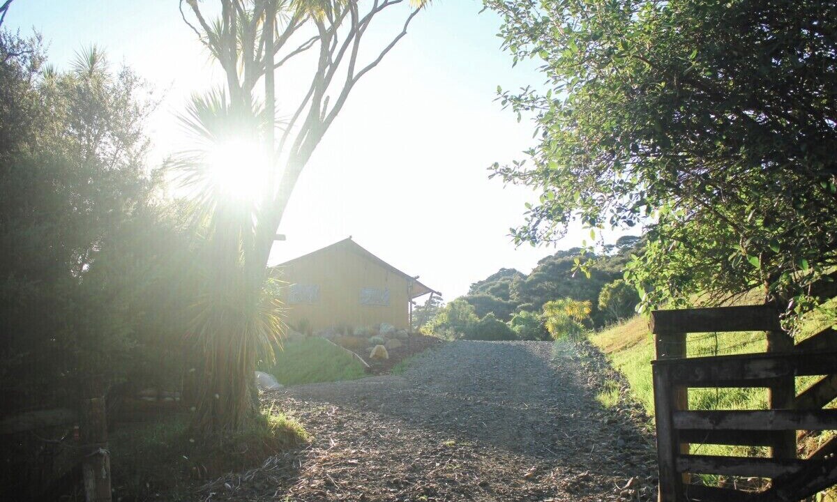 Photo of Outdoor in Waitakere