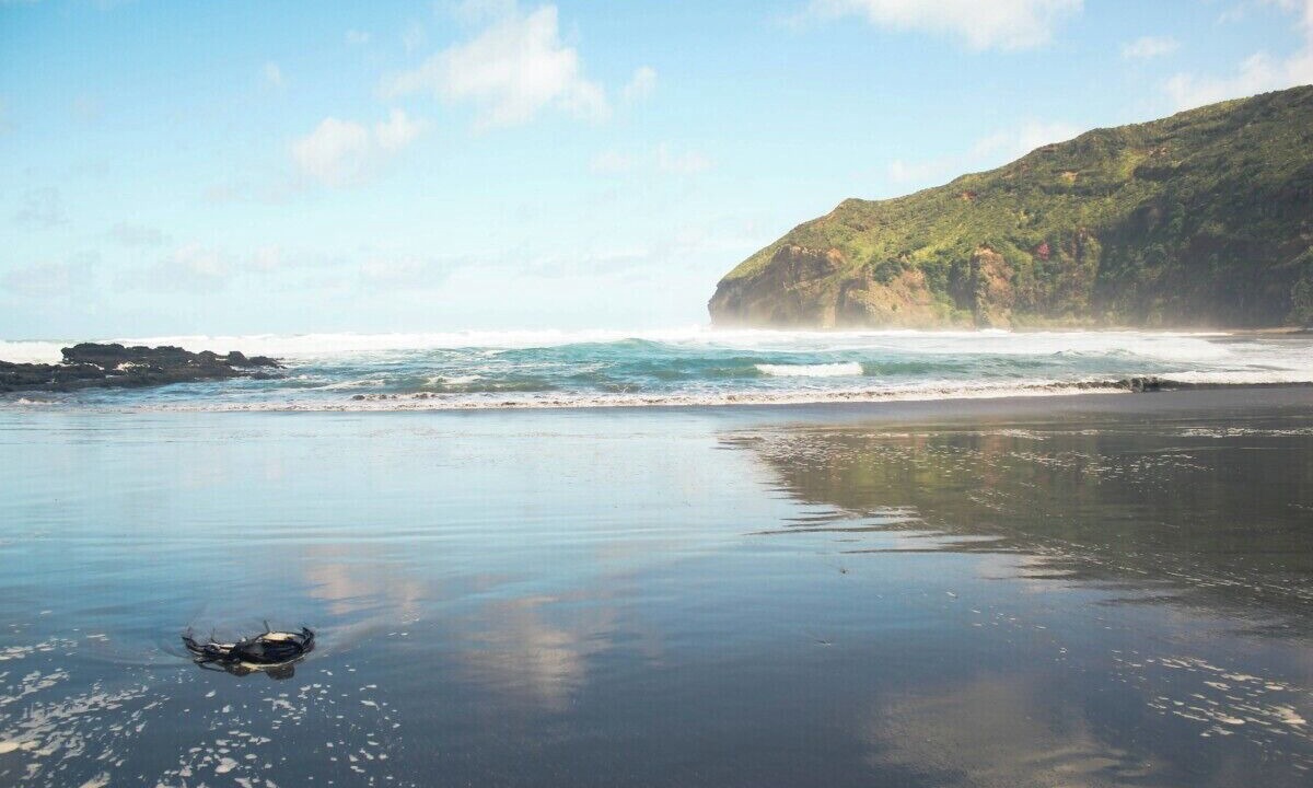 Photo of Others in Waitakere