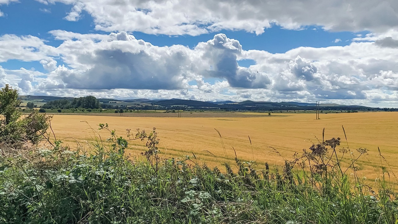 Photo of Others in Forfar