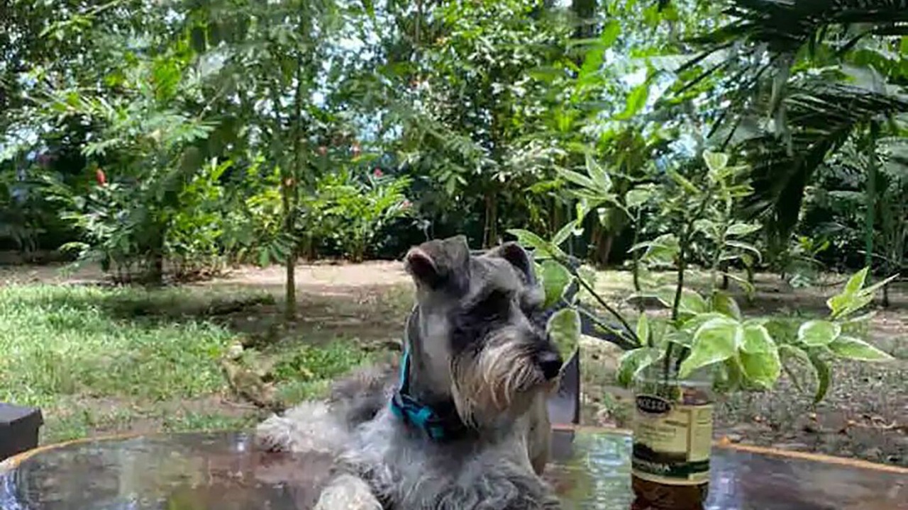 Photo of Outdoor in Chiguata