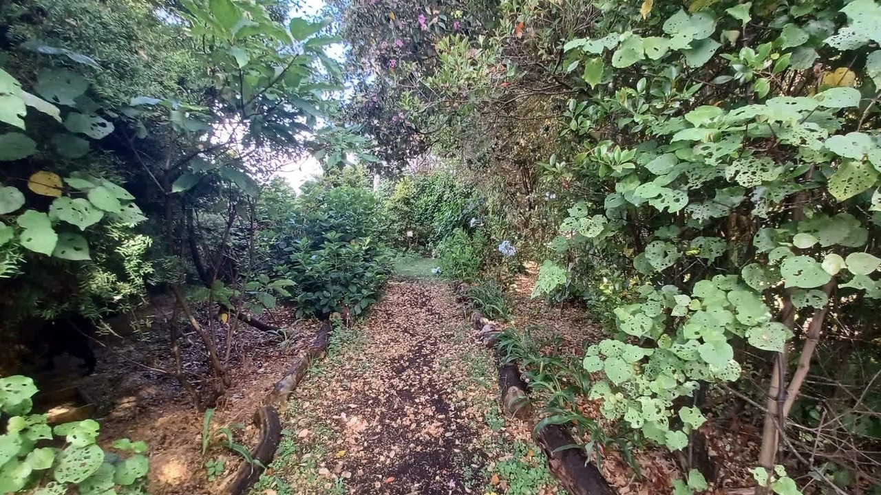 Photo of Outdoor in Tataraimaka