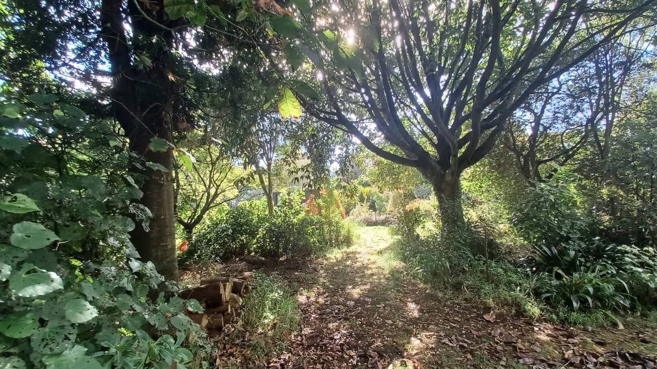 Photo of Outdoor in Tataraimaka