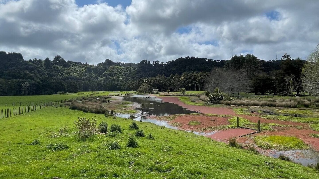 Photo of Others in Waimauku